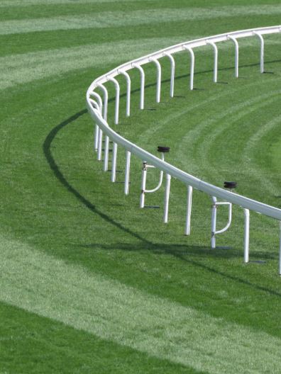 Turf