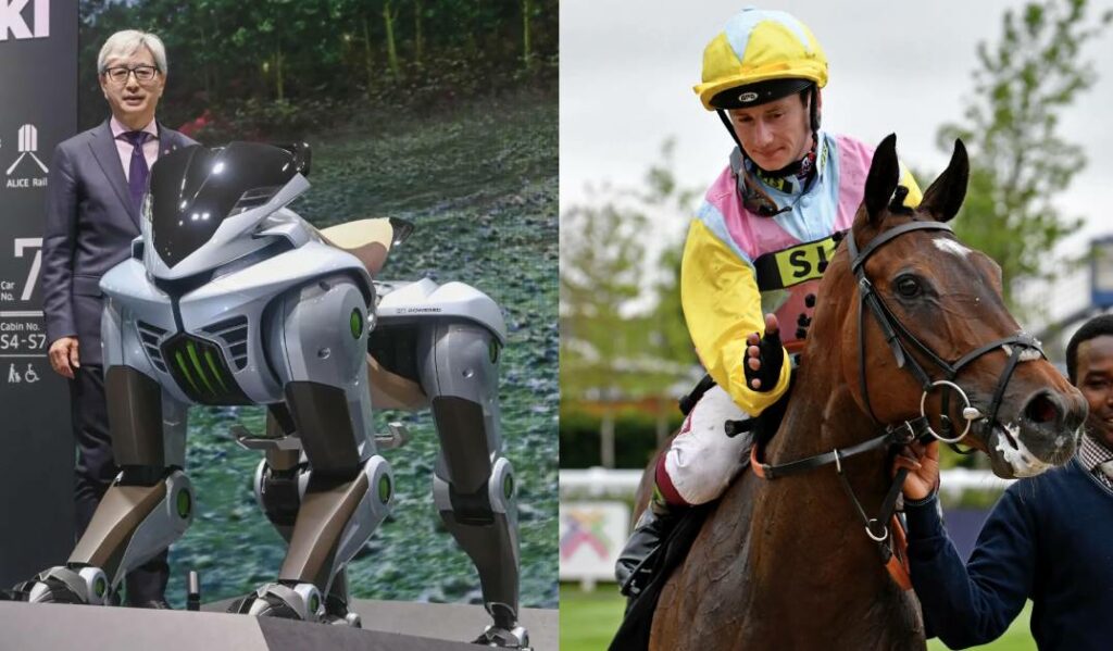 Corleo vs Real Race Horse